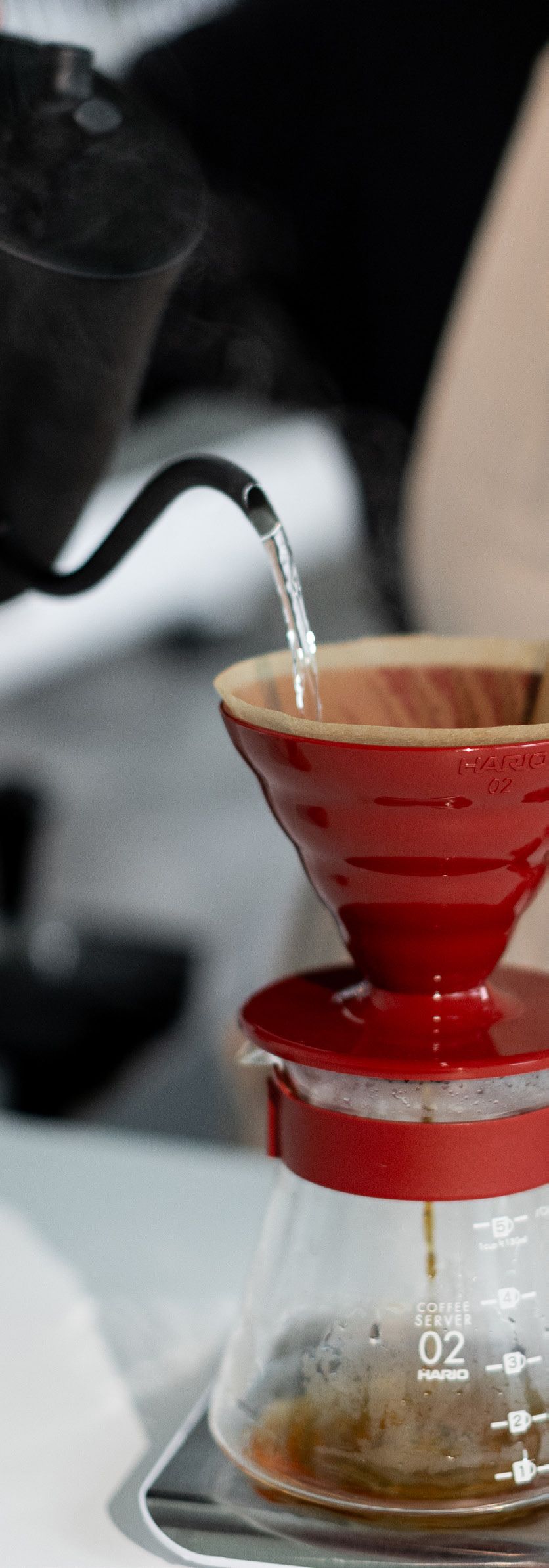 Café sendo coado no método Hario V60